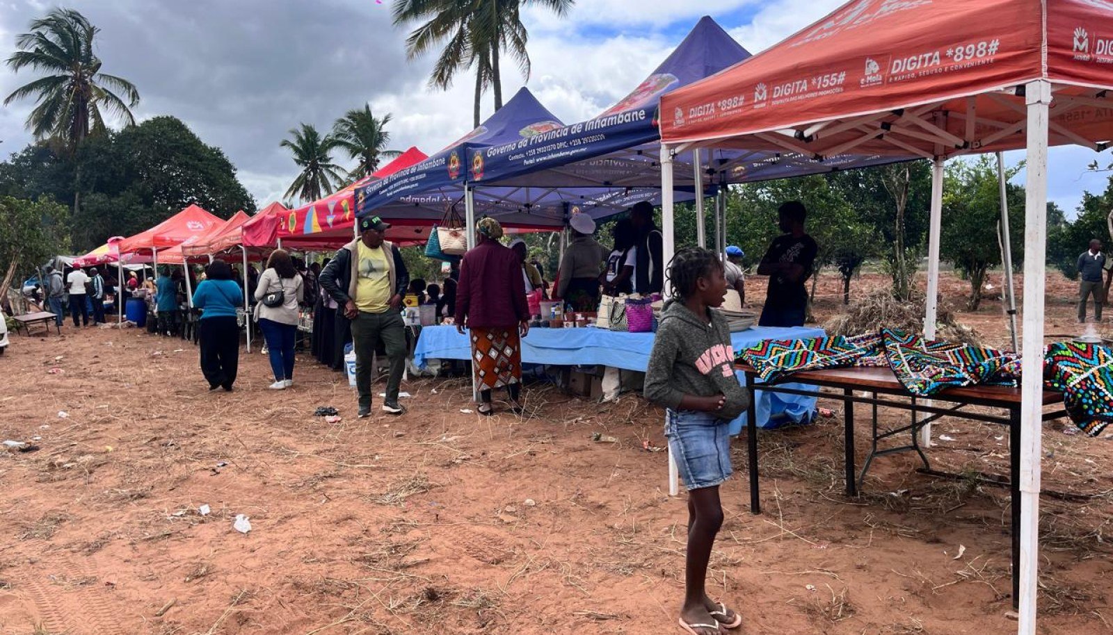 M’Saho – Festival de Timbila entra esta sexta-feira no seu segundo dia em Zavala